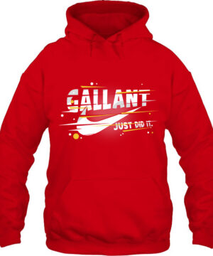 fbus03550-GALLANT F6